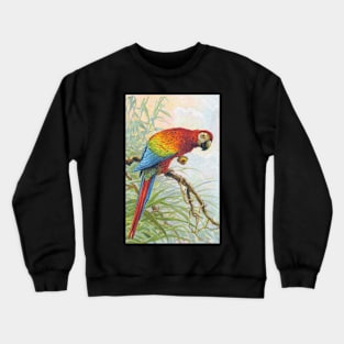 Parrot Crewneck Sweatshirt